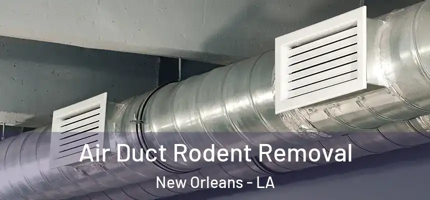  Air Duct Rodent Removal New Orleans - LA