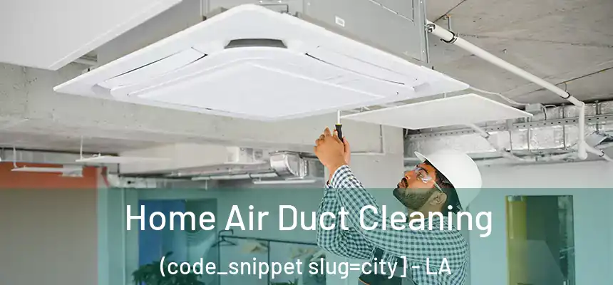  Home Air Duct Cleaning (code_snippet slug=city] - LA