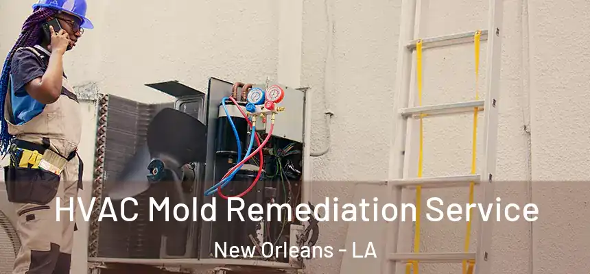  HVAC Mold Remediation Service New Orleans - LA