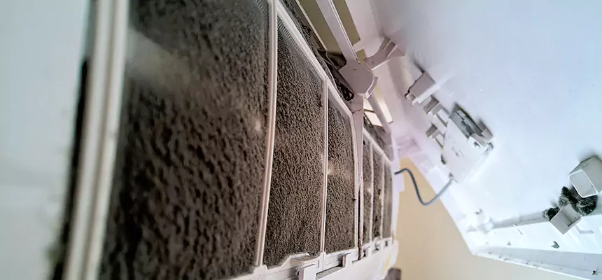 Preventive Air Duct Bacteria Removal in New Orleans