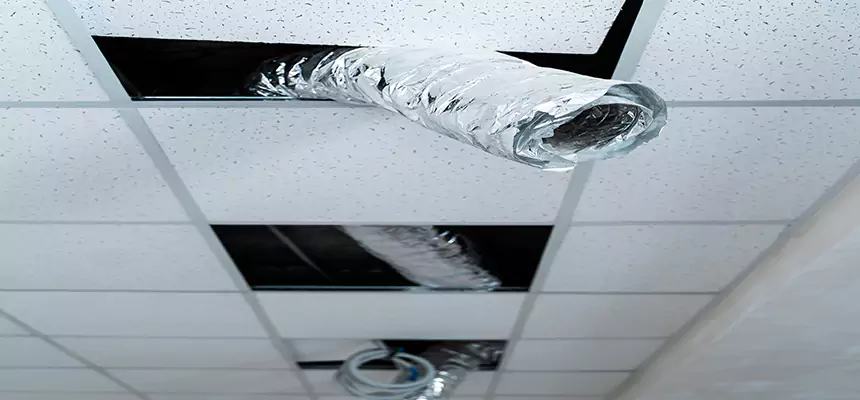 Affordable HVAC Sanitizing After Pest Removal in New Orleans