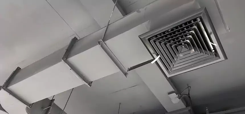 Restorative Allergy Relief Vent Cleaning – Coil, Blower & Housing Detail in New Orleans