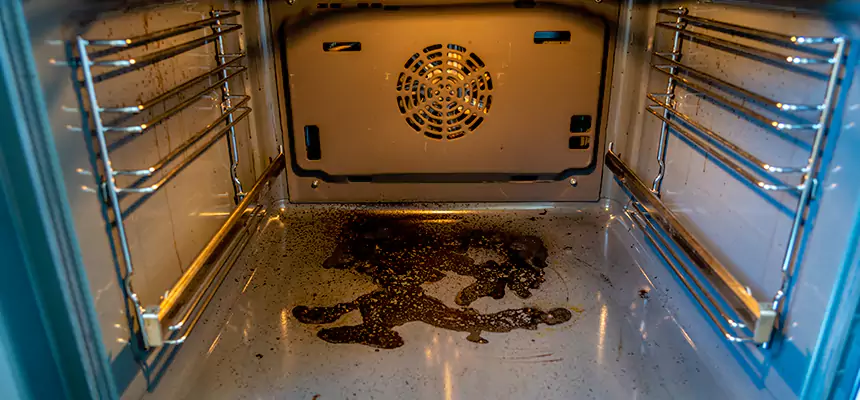 Our Dryer Vent Mold Cleaning Services in New Orleans, LA