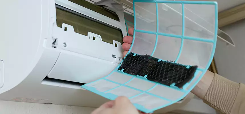 Gentle Ductwork Odor-Control Pet Dander Duct Cleaning in New Orleans, LA