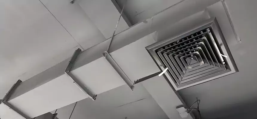 Our Rodent Droppings In Vents Services in New Orleans, LA