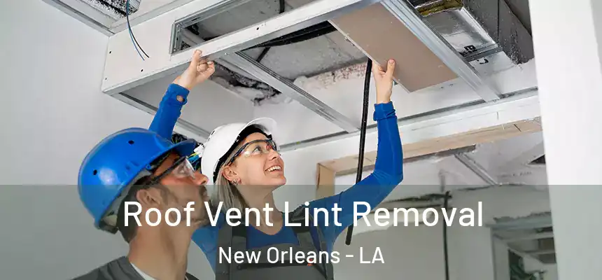  Roof Vent Lint Removal New Orleans - LA