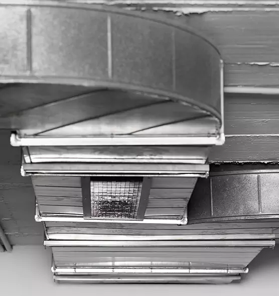 Professional Air Duct Pet Hair Removal in New Orleans, LA