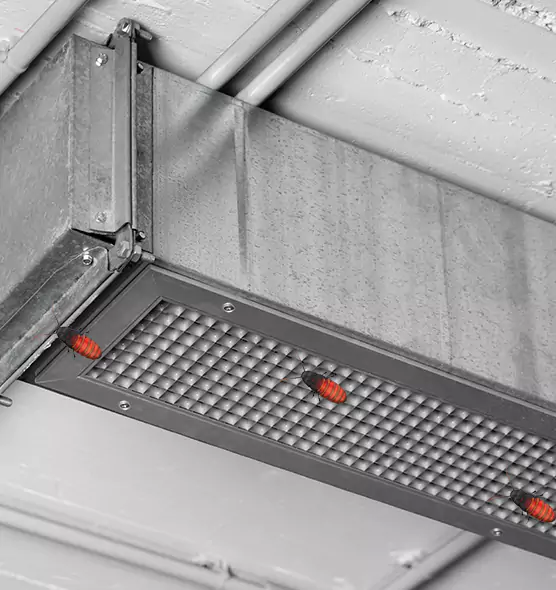 Affordable Insect Removal from Air Ducts in New Orleans, LA