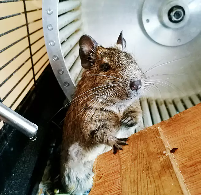 Why Homeowners & Businesses Trust Us New Orleans, LA