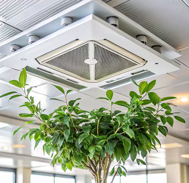 Why Homeowners & Businesses Trust Us in New Orleans, LA