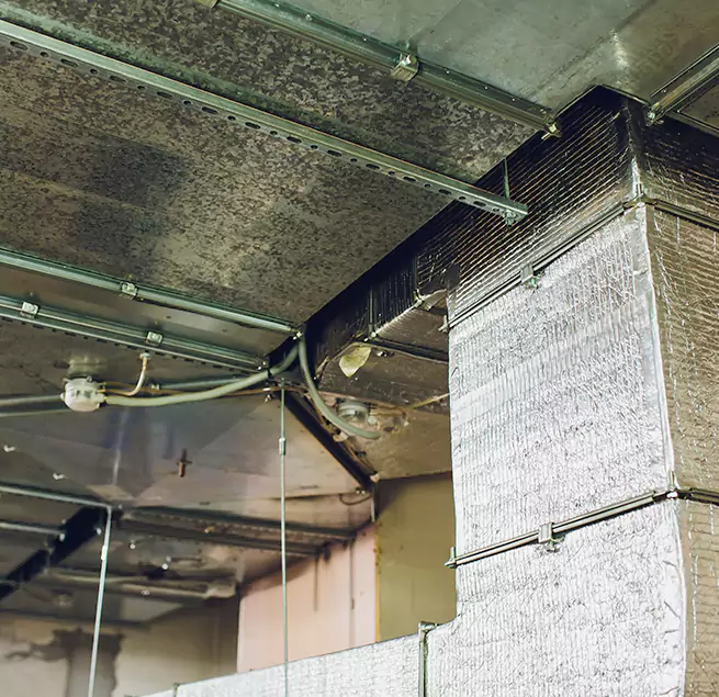 Why Homeowners & Businesses Trust Us in New Orleans, LA?