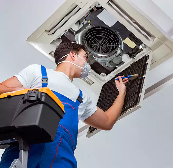 Why Homeowners & Businesses Trust Us in New Orleans, LA?